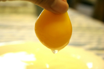 ishimoto egg